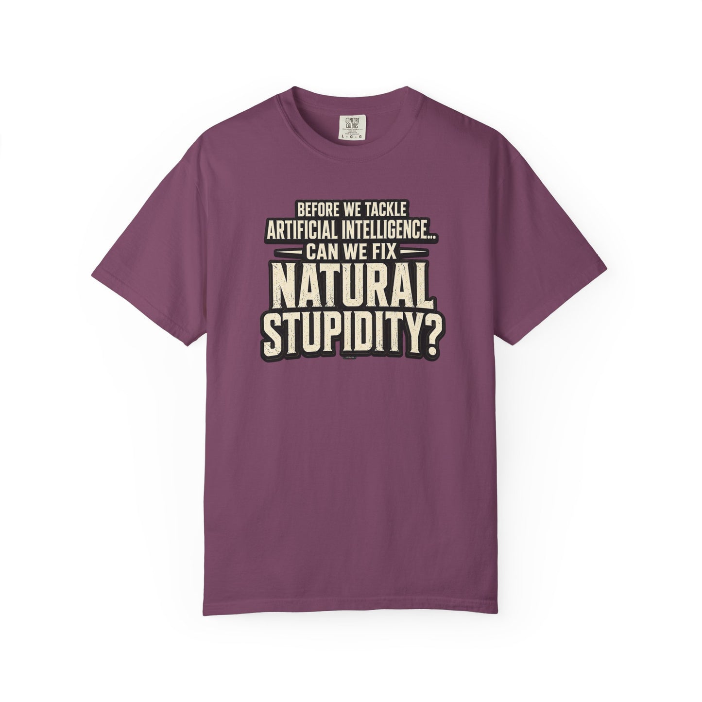Before We Tackle Artificial Intelligence, Can We Fix Natural Stupidity? Funny Sarcastic Tech Tee