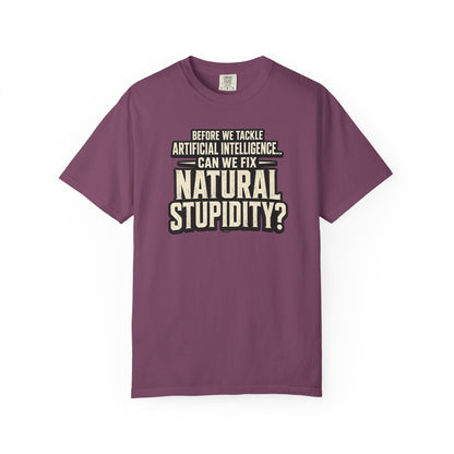 Before We Tackle Artificial Intelligence, Can We Fix Natural Stupidity? Funny Sarcastic Tech Tee
