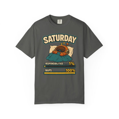 SATURDAY: NAP 100%