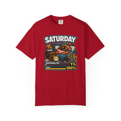 SATURDAY: Responsibilities 1%, NAP 100%