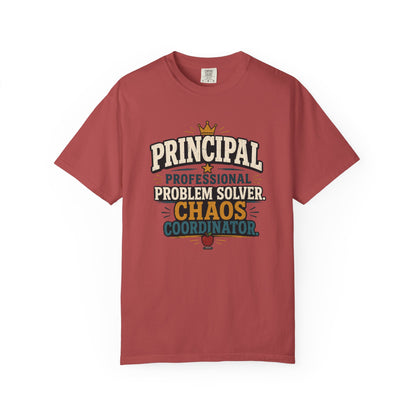 BTS: PRINCIPAL-Professional Problem Solver T-SHIRT
