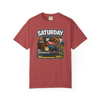 SATURDAY: Responsibilities 1%, NAP 100%