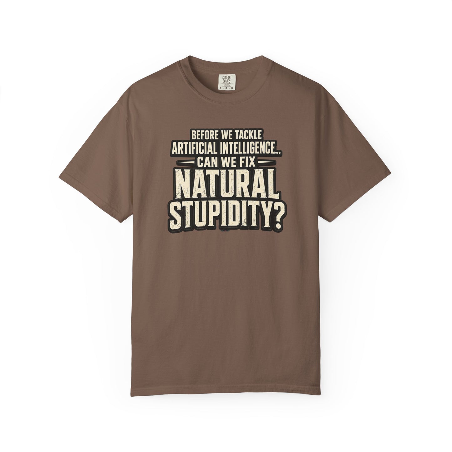 Before We Tackle Artificial Intelligence, Can We Fix Natural Stupidity? Funny Sarcastic Tech Tee