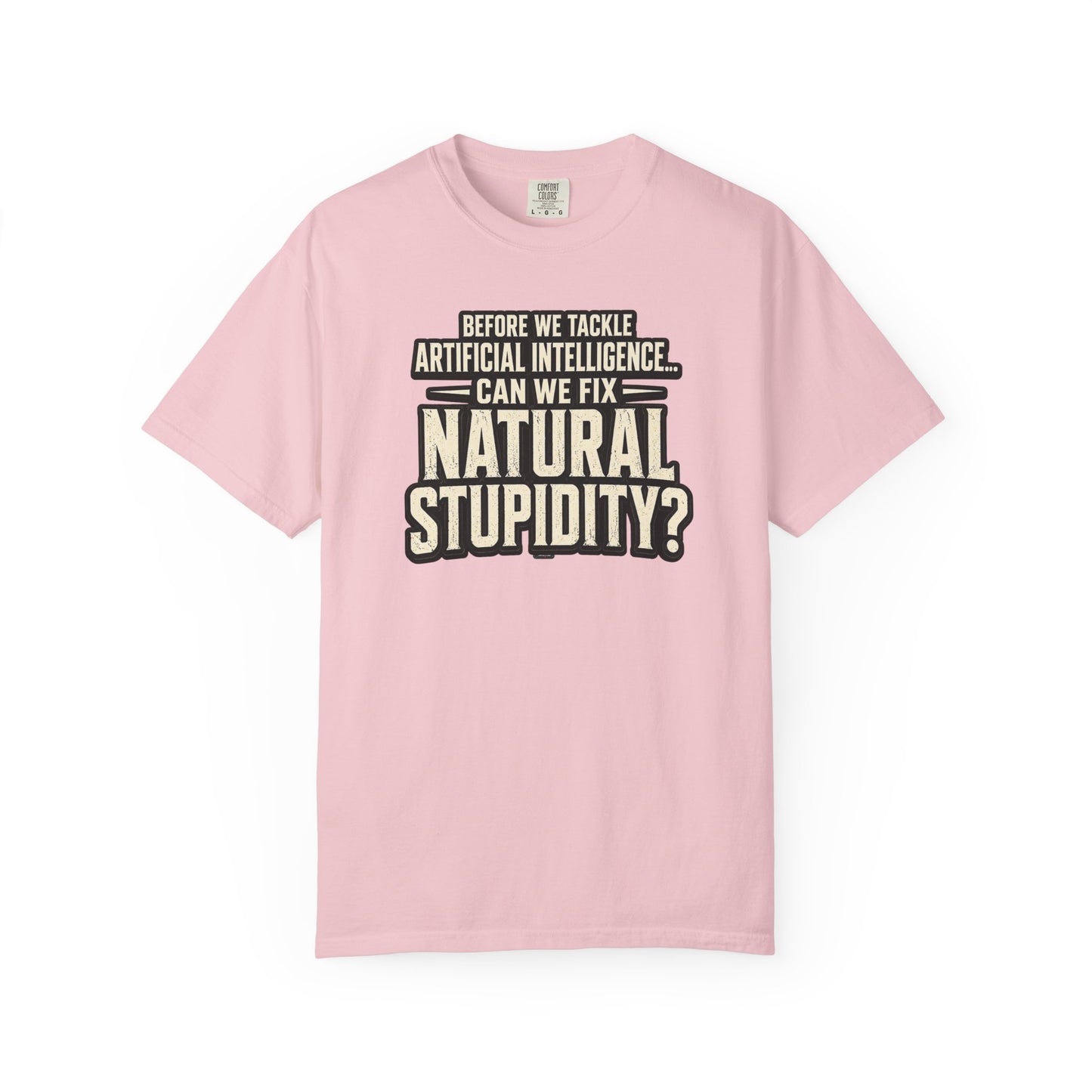 Before We Tackle Artificial Intelligence, Can We Fix Natural Stupidity? Funny Sarcastic Tech Tee