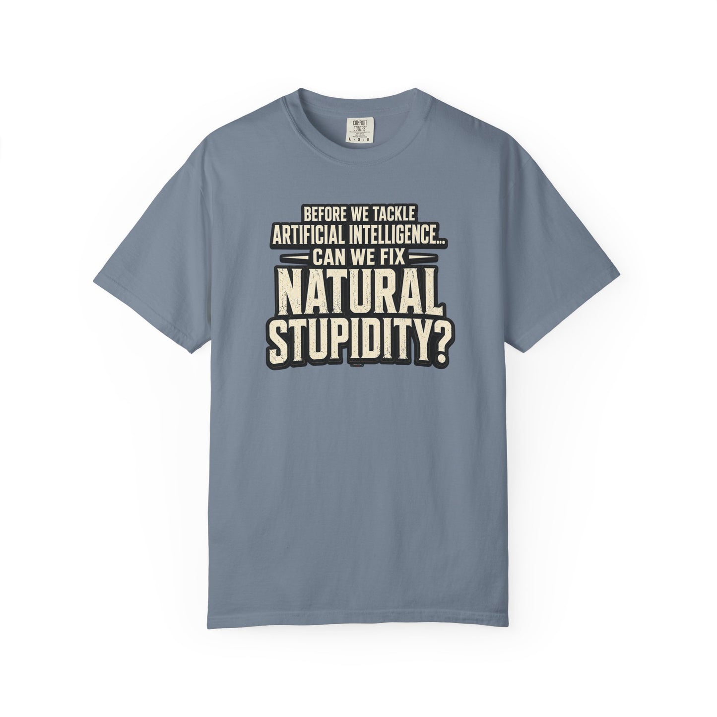 Before We Tackle Artificial Intelligence, Can We Fix Natural Stupidity? Funny Sarcastic Tech Tee