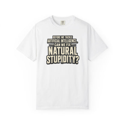 Before We Tackle Artificial Intelligence, Can We Fix Natural Stupidity? Funny Sarcastic Tech Tee