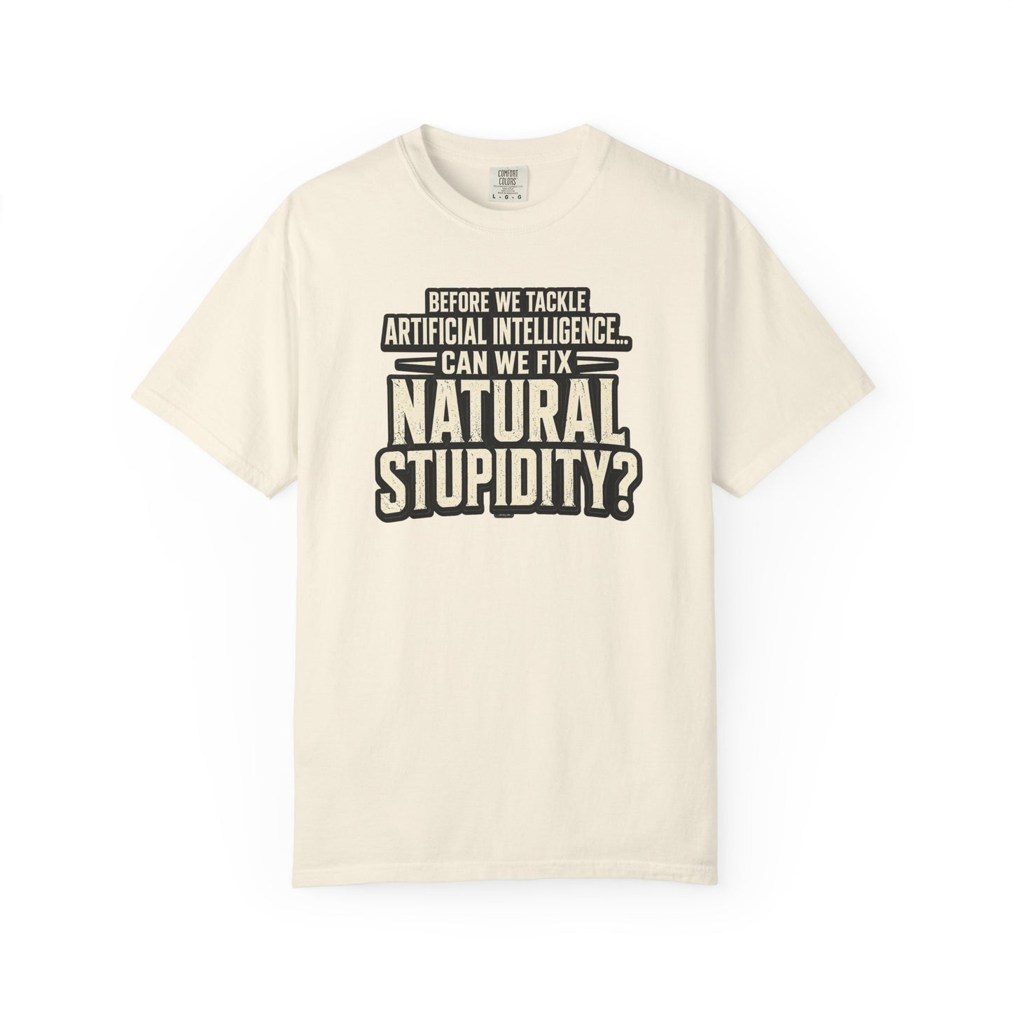 Before We Tackle Artificial Intelligence, Can We Fix Natural Stupidity? Funny Sarcastic Tech Tee