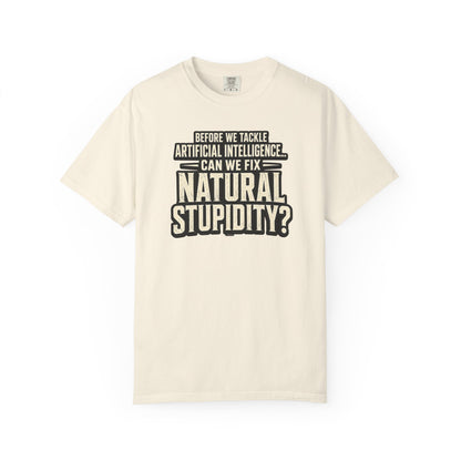 Before We Tackle Artificial Intelligence, Can We Fix Natural Stupidity? Funny Sarcastic Tech Tee