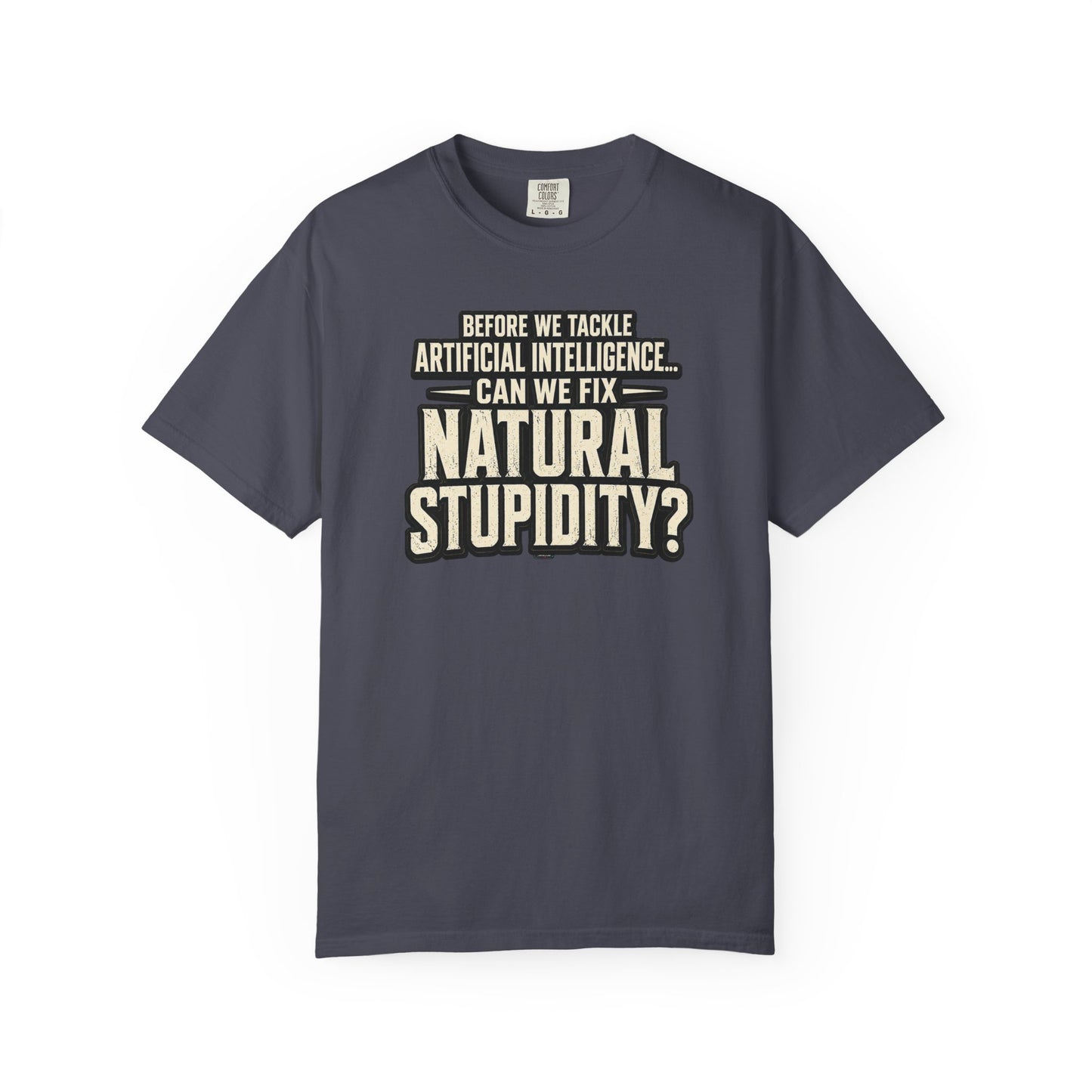 Before We Tackle Artificial Intelligence, Can We Fix Natural Stupidity? Funny Sarcastic Tech Tee
